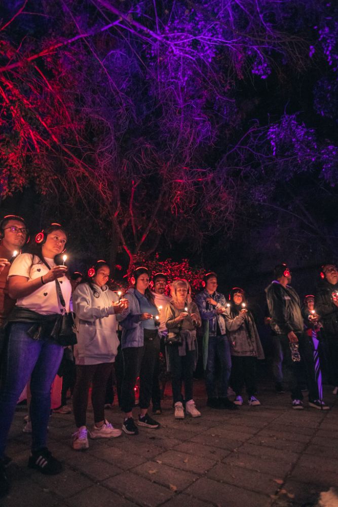 Asistentes con velas bajo árboles iluminados en violeta y rojo